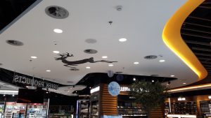 -MLD--AIRPORT